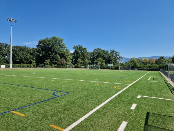 Centre Sportif Intercommunal des Evaux terrain 6 - Onex