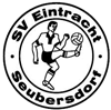 Wappen SV Eintracht 1954 Seubersdorf diverse  70888