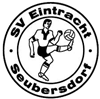 Wappen SV Eintracht 1954 Seubersdorf diverse