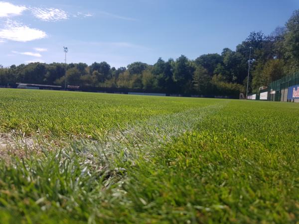 RB-Trainingszentrum Platz 6 - Leipzig