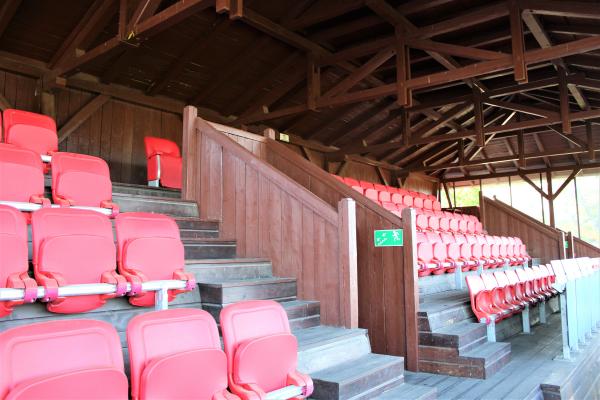 Stadion Miejski w Oleśnicy - Oleśnica