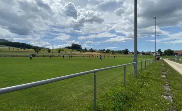 Sportplatz Huebwis Nebenplatz - Niederweningen