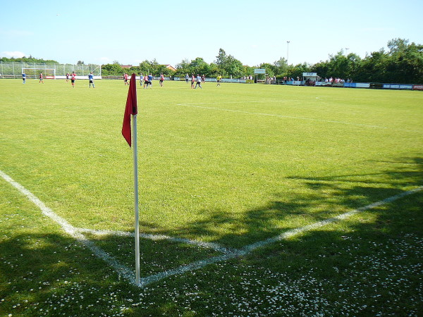 Dansk Revision Arena v/Nordvang skole - Esbjerg V