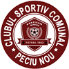 Wappen CSC Partizan Diniaș