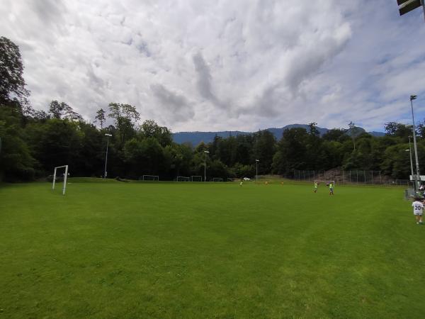 Sportplatz Tierpark Nebenplatz - Arth-Goldau