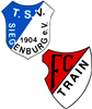 Wappen SG Siegenburg/Train (Ground A)  45996