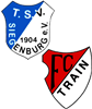 Wappen SG Siegenburg/Train (Ground A)