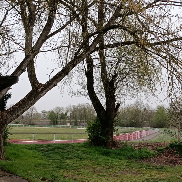 Stadion am Sommerbad - Bad Köstritz