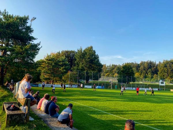 Sportplatz Widenbad - Männedorf