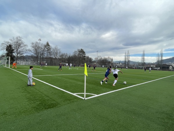 Stadion Espenmoos Platz 2 - St. Gallen