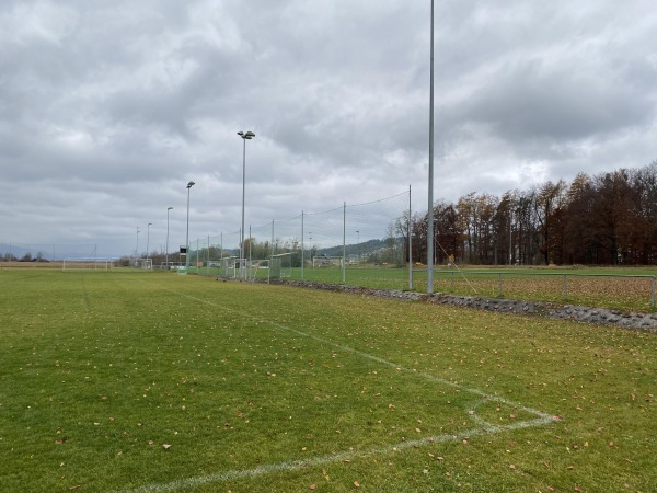 Sportplatz Allmeind Platz 3 - Schmerikon