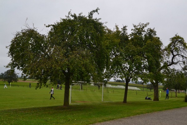 Sportplatz Pickließem - Pickließem