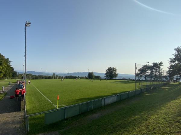 Sportplatz Widenbad - Männedorf