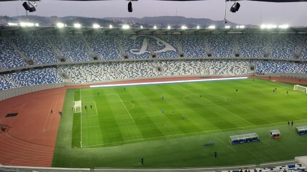 Boris Paichadze Dinamo Arena - Tbilisi