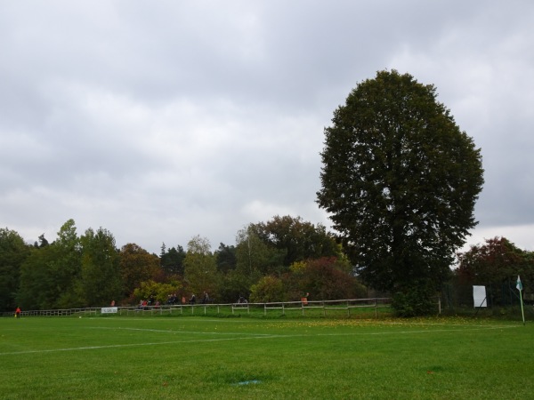 Boisko w Trzebicz - Trzebicz