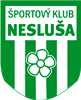 Wappen ŠK Nesluša