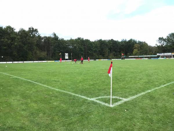Sportpark 't Grootveld - Coevorden-Dalen