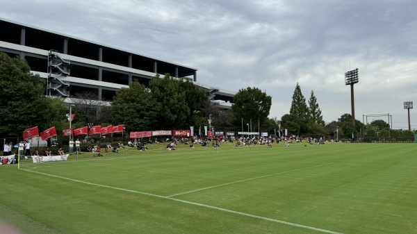 Saitama Stadium 2002 field 3 - Saitama