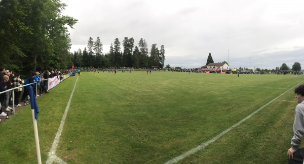 Sportplatz im Hasenmerkle - Wildberg/Schwarzwald-Effringen
