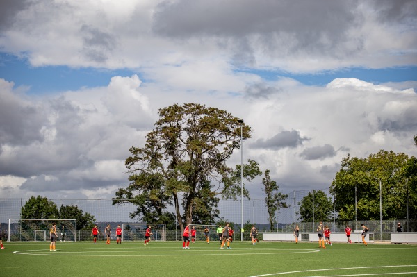 Sportplatz Am Dölzschgraben - Dresden-Dölzschen