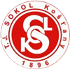 Wappen TJ Sokol Košťany