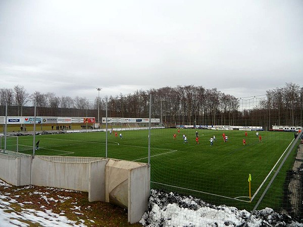 Voith-Arena Kunstrasen-West - Heidenheim/Brenz