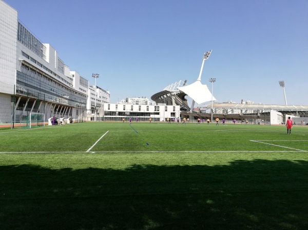 Stade Sébastien Charléty terrain annexe - Paris