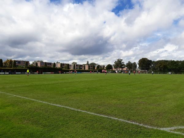 Sportpark Coendersborg veld 5-Amicitia - Groningen