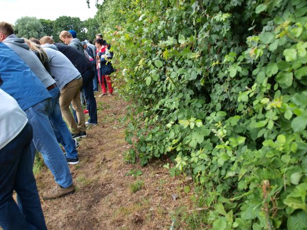 Sportanlage Conzeallee - Haltern am See