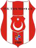 Wappen ehemals Türkischer SC Wörth 1989