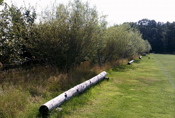 Sportplatz Taaken - Reeßum