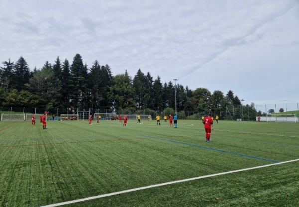 Sportplatz Löösch Platz 2 - Adligenswil