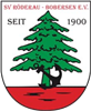 Wappen SV Röderau-Bobersen 1900 diverse