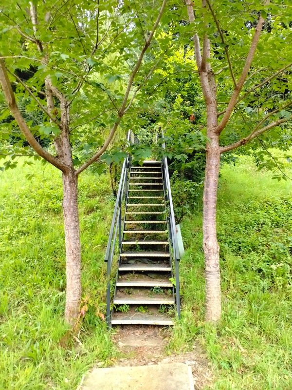 Stowfield Park - Lydbrook, Gloucestershire