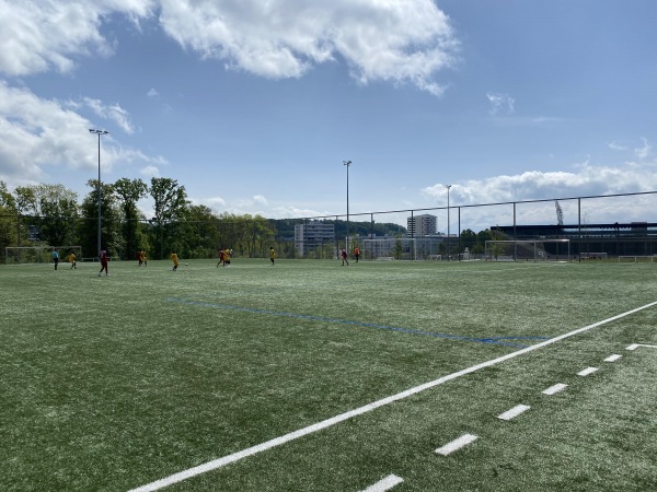 Centre Sportif de la Tuilière terrain 3 - Lausanne
