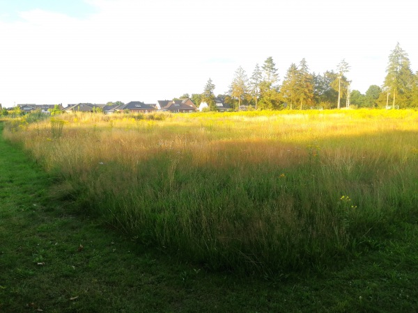 Sportanlage Bardowicker Straße C-Platz - Radbruch