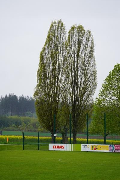 Sportplatz Reisertstraße  - Bad Saulgau-Bolstern