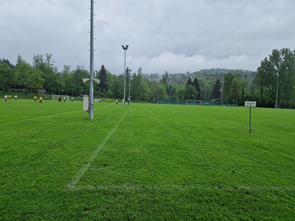 Sportanlagen Gründenmoos Platz 8 - St. Gallen