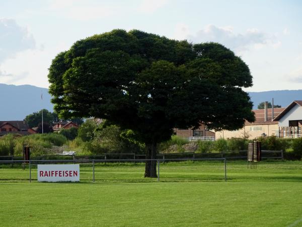Place de Sports Freybonnaz - Corcelles-près-Payerne
