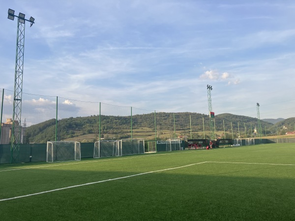Arena Heidelberg - Chișcădaga