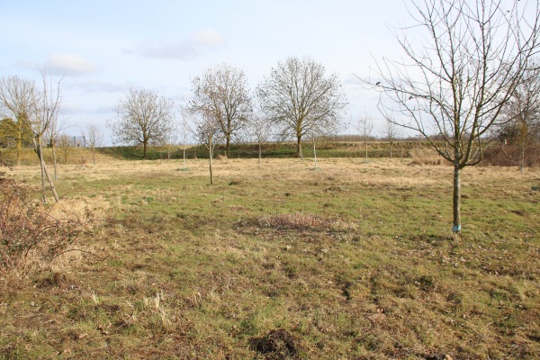 Sportplatz Borr - Erftstadt-Borr