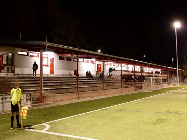 Heinrich-Ritzel-Stadion - Michelstadt