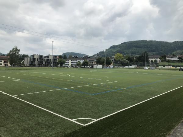 Sportanlage Ebnet Kunstrasenplatz - Frick