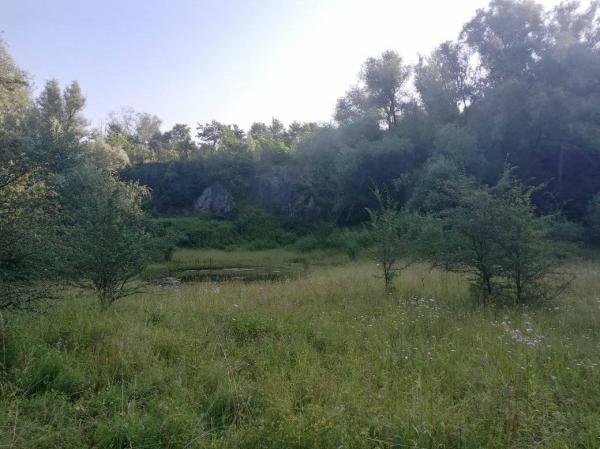 Sportplatz im Steinbruch - Mettmann-Neanderhöhe