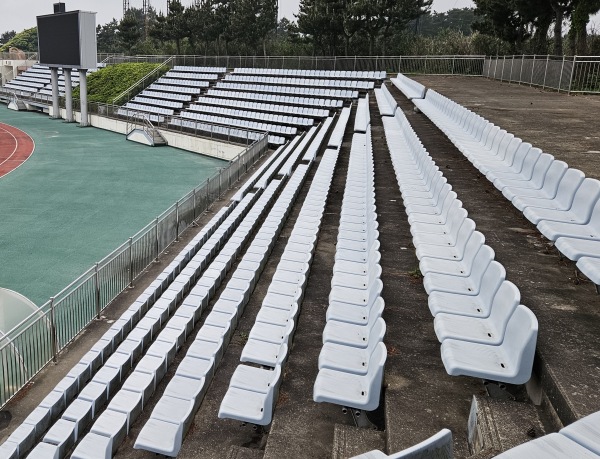 Gangchanghak Stadium - Seogwipo