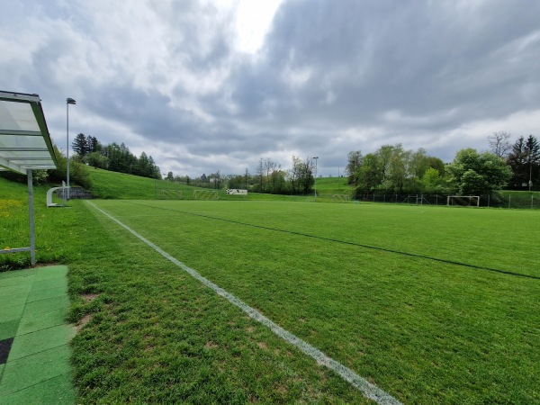 Sportplatz Niderwis Platz 2 - Elsau