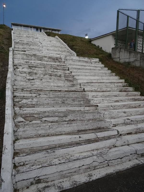 Stadionul Dan Păltinișanu - Timișoara