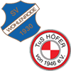 Wappen SG Wohlenrode/Höfer ll (Ground B)
