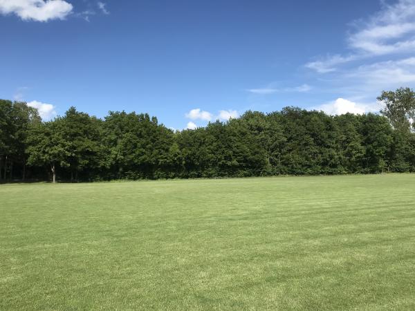 Sportplatz an der Selz - Friesenheim/Rheinhessen