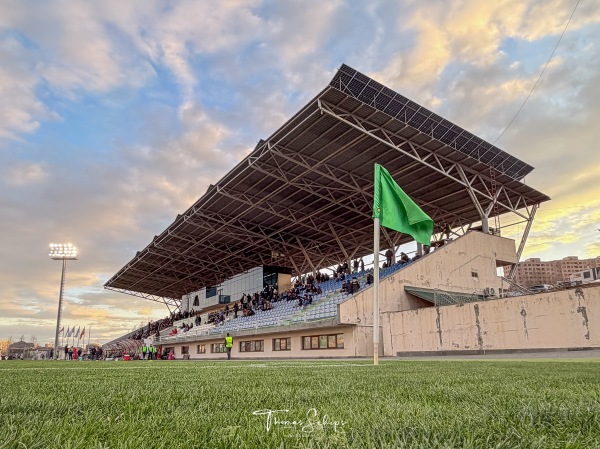 Armenia Football Academy grass - Yerevan